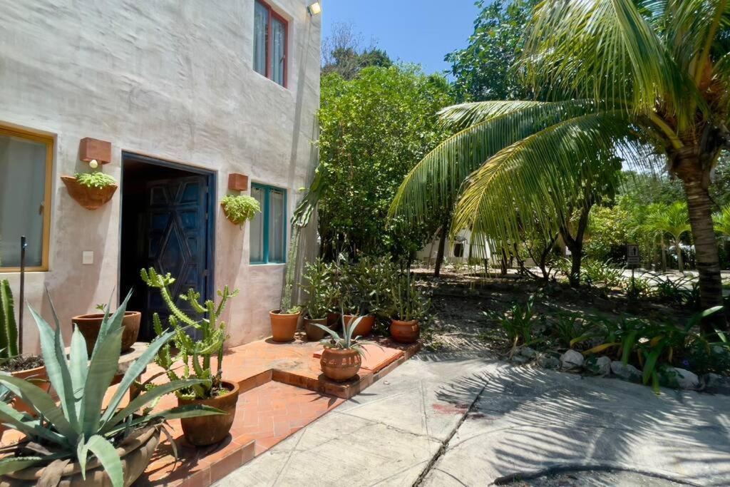 Breezy And Fresh House With Roof Just 25 Min Walk To Sea * Playa del Carmen
