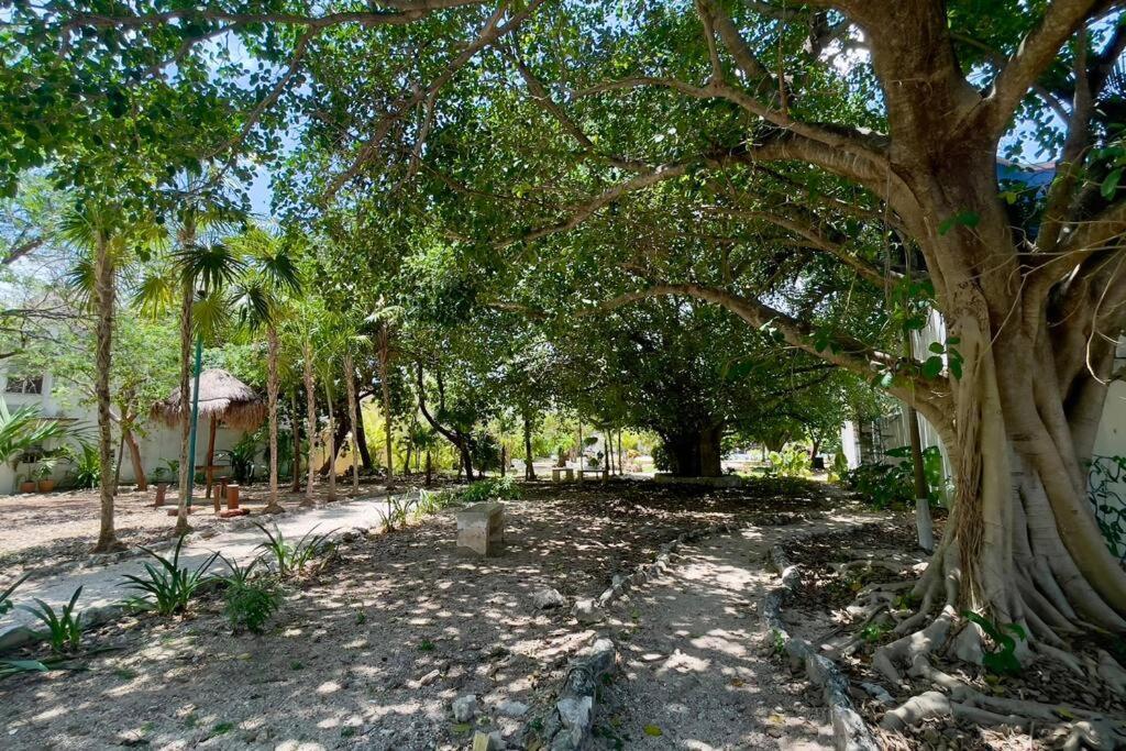 Breezy And Fresh House With Roof Just 25 Min Walk To Sea *