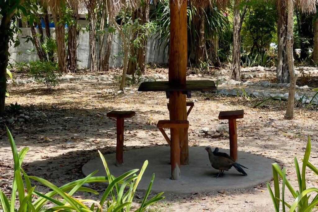Breezy And Fresh House With Roof Just 25 Min Walk To Sea * Playa del Carmen