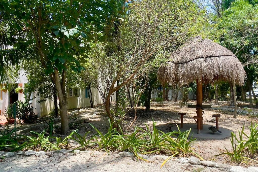 Breezy And Fresh House With Roof Just 25 Min Walk To Sea *